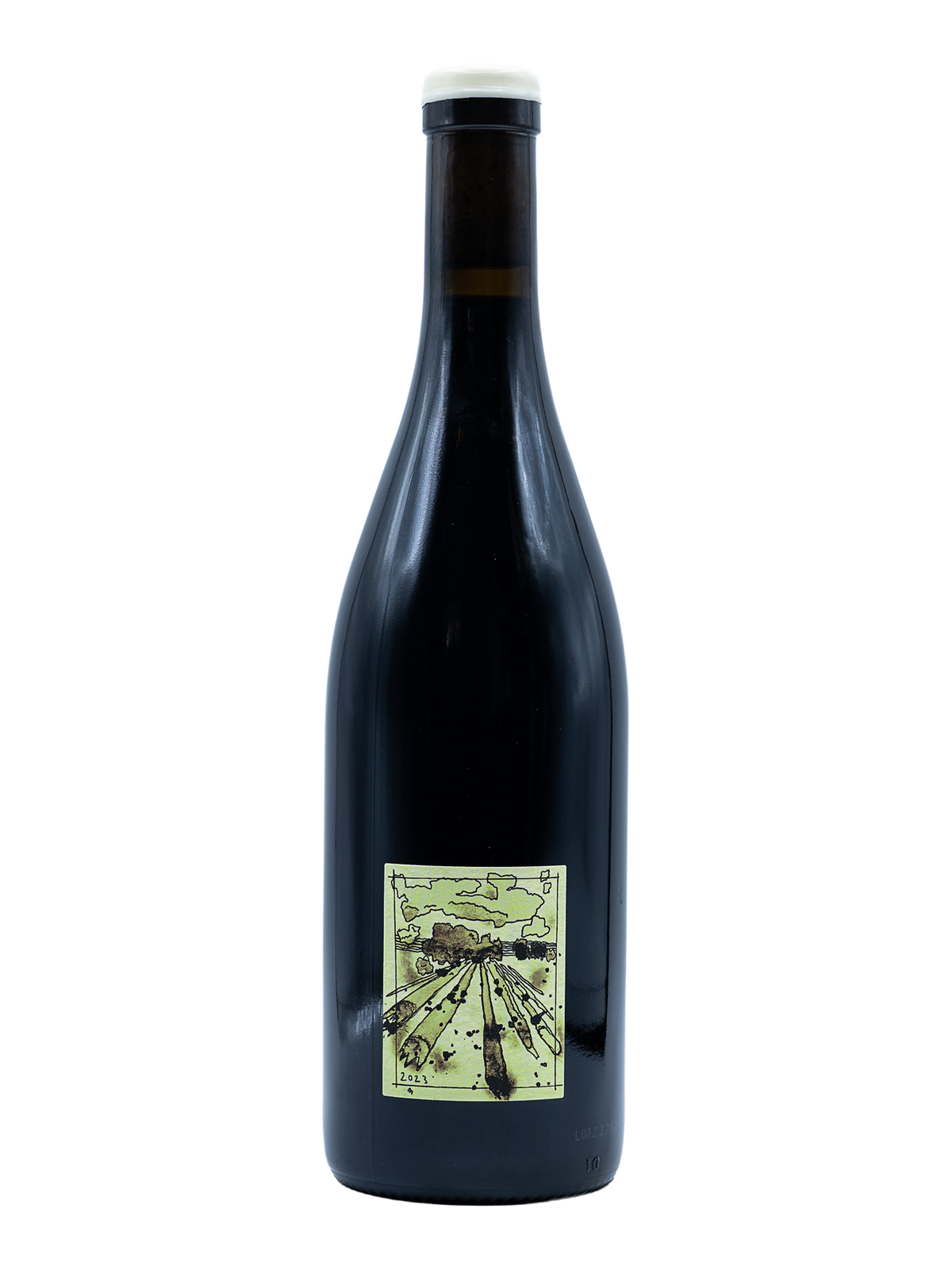 fond cajou , Gamay 2023