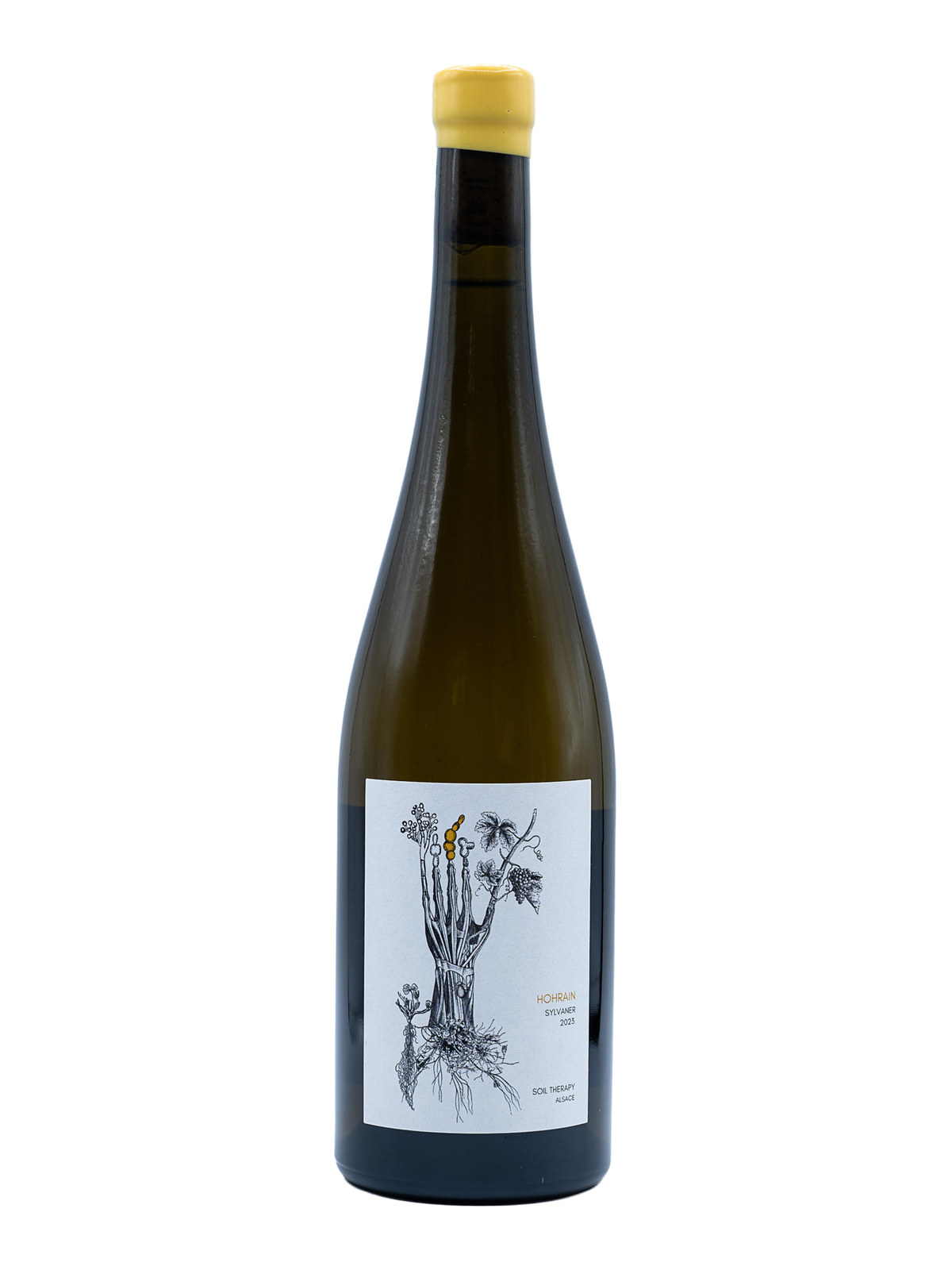 Hohrain Sylvaner AOC Alsace 2023