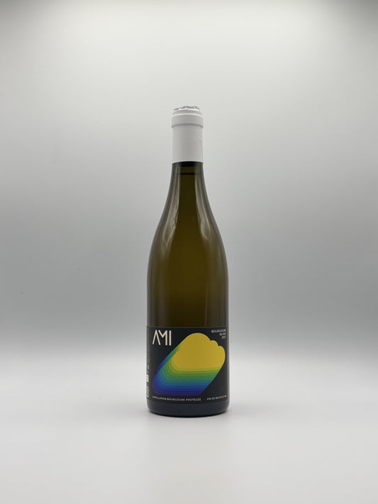 Bourgogne Aligoté 2024