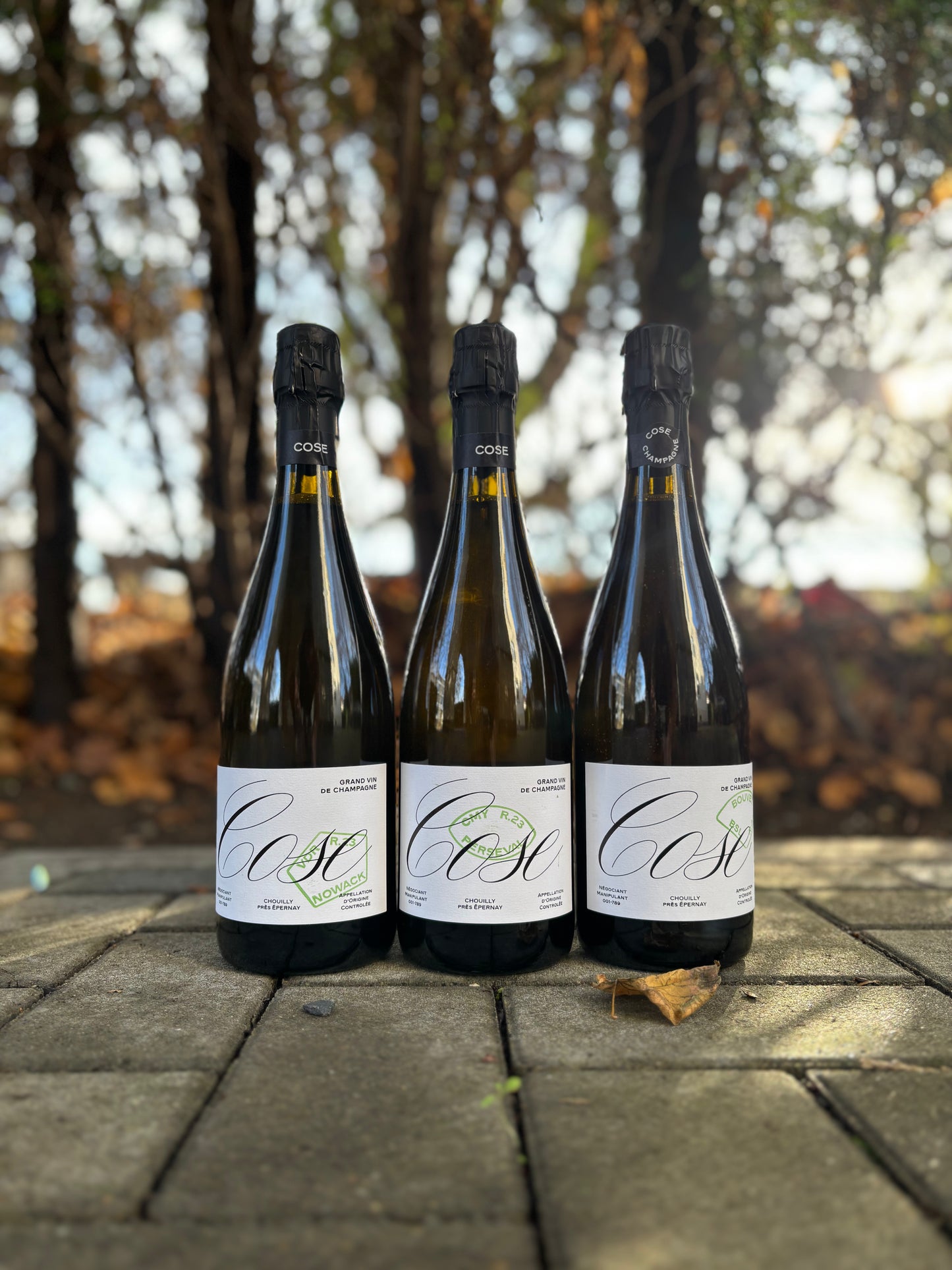 Champagne Cose 3er Paket