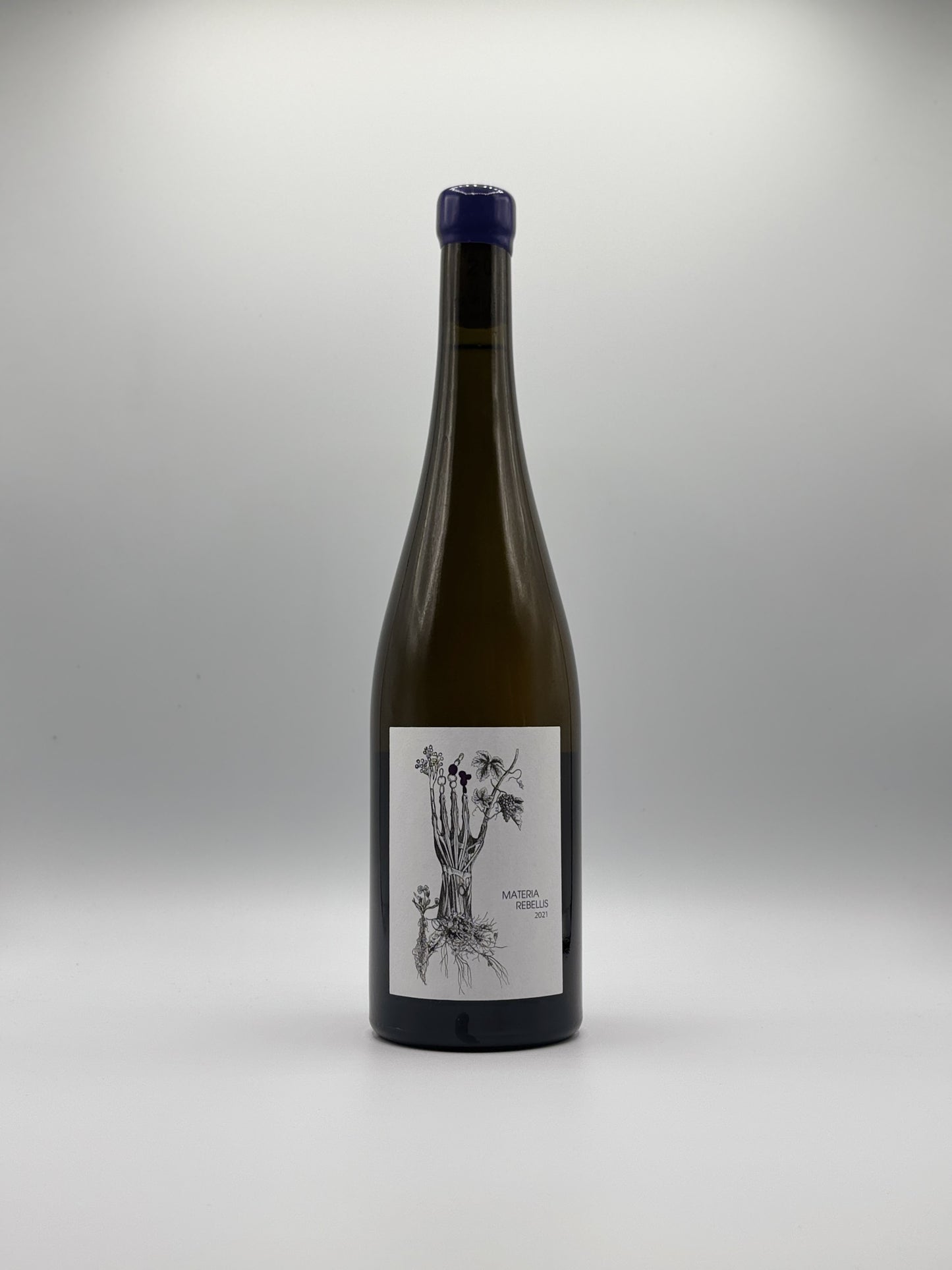 Materia Rebelis 2021