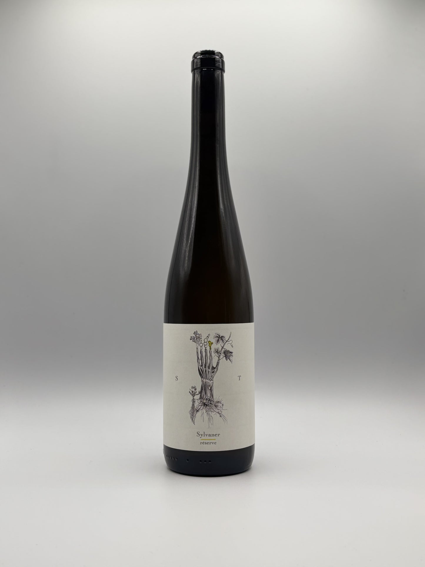 Sylvaner Reserve 2023