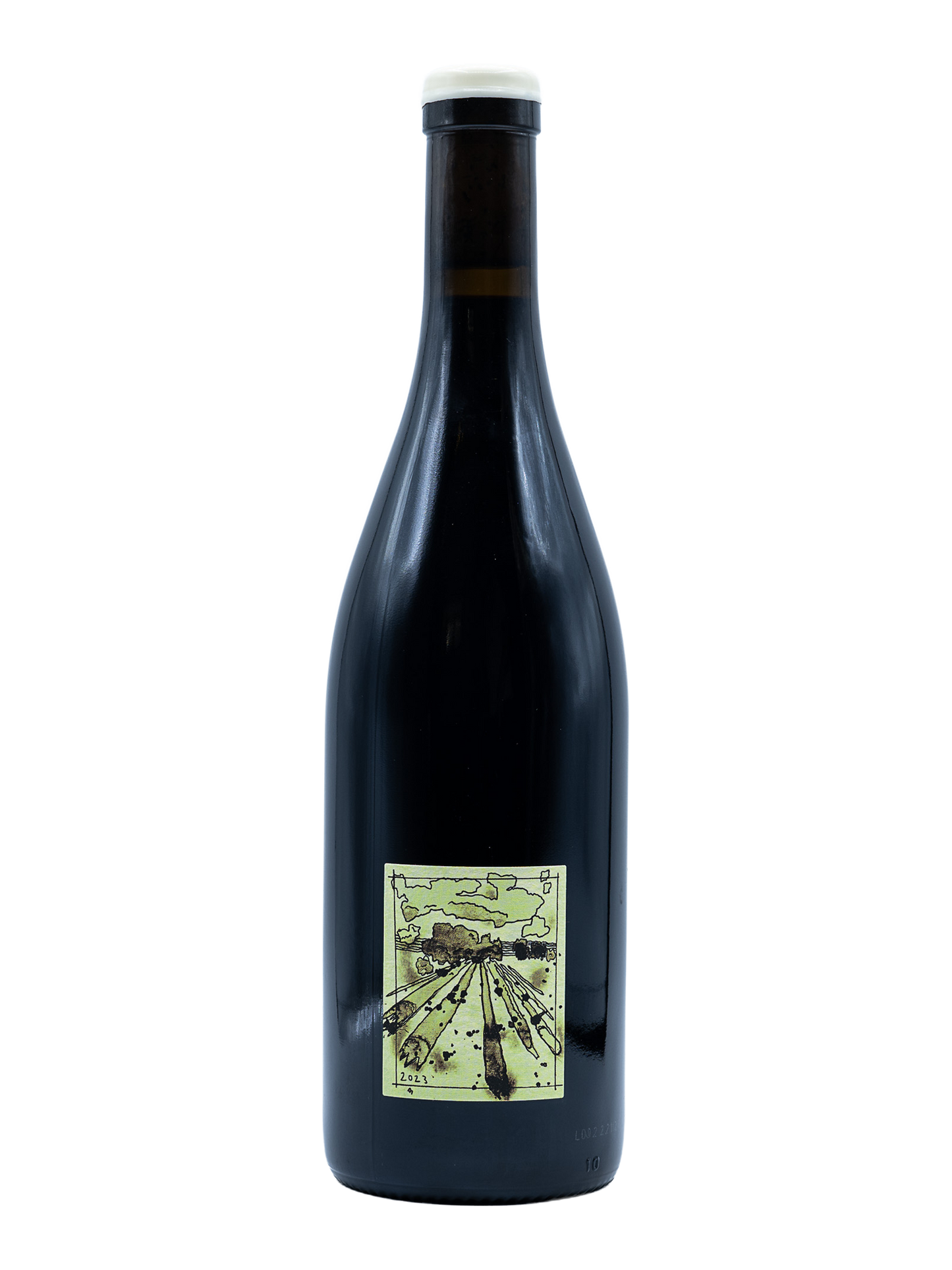 fond cajou , Gamay 2023