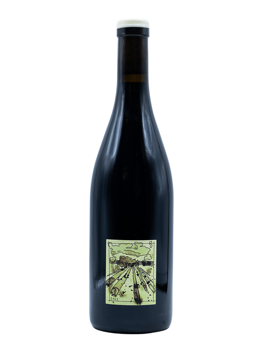 fond cajou , Gamay 2023