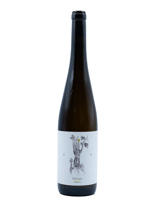 Sylvaner Reserve 2023