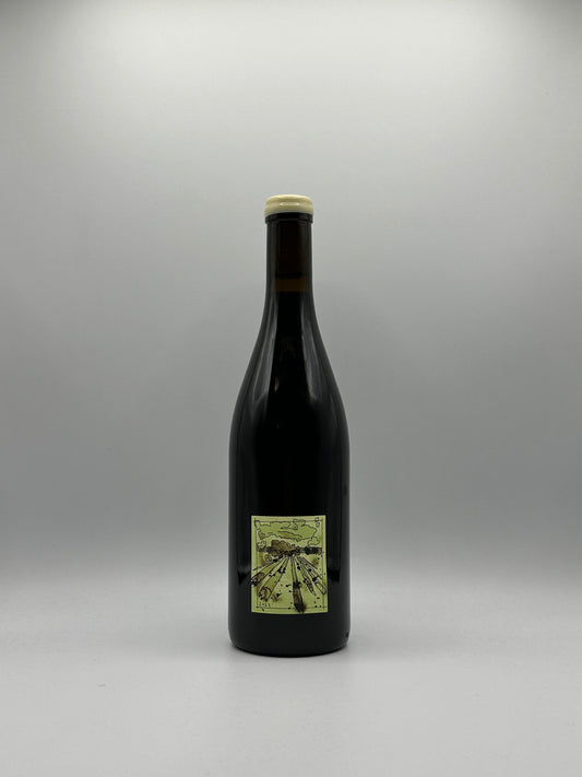 fond cajou , Gamay 2023