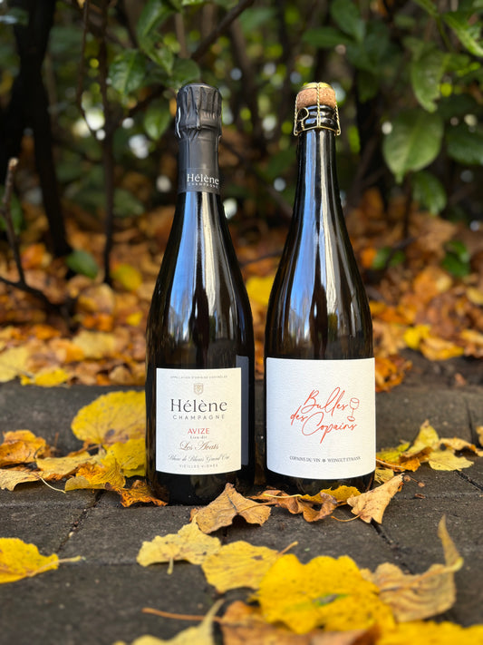 Hélène et les Copains