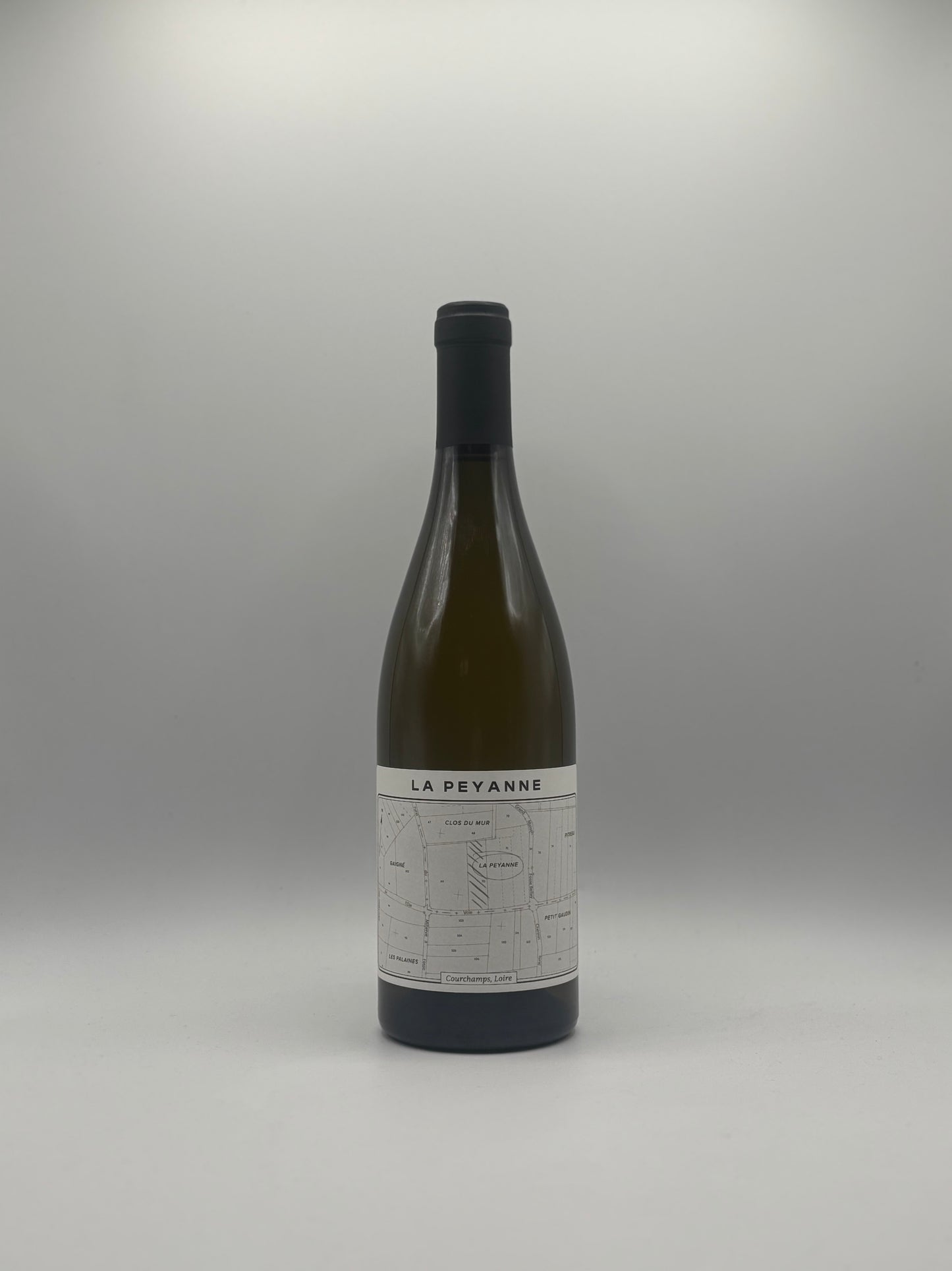 Saumur Blanc 'La Peyanne' 2023, Théo Blet